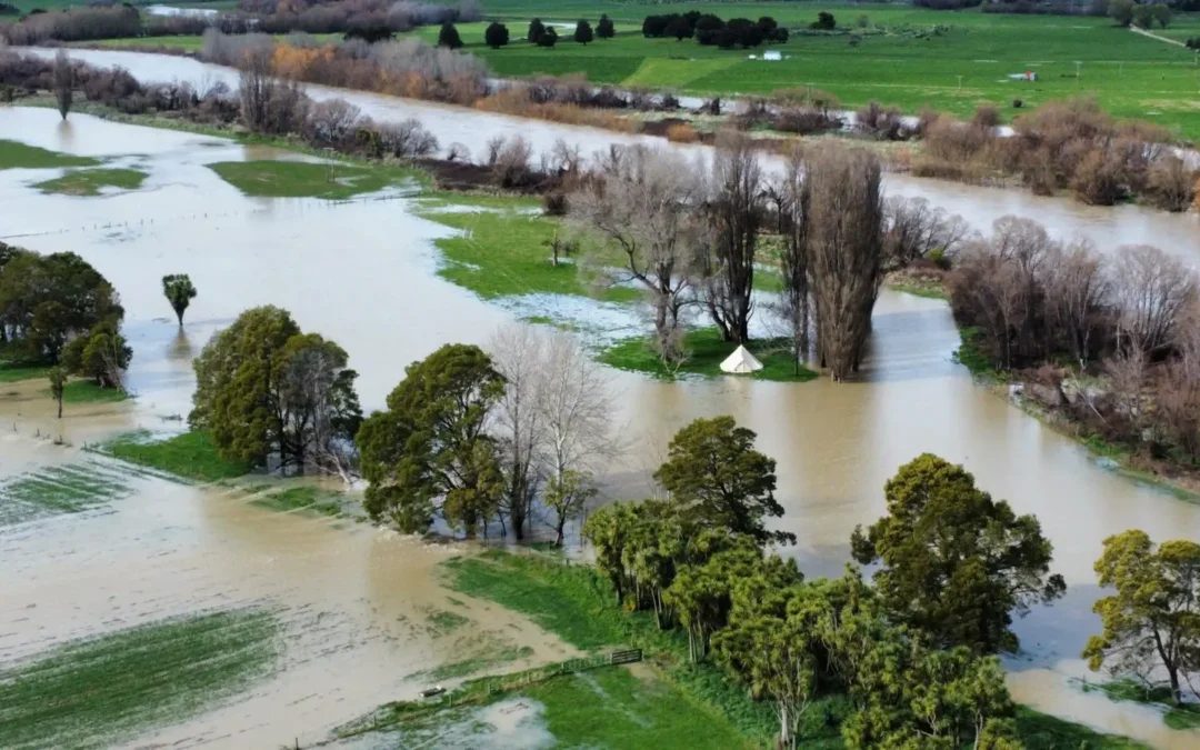 The Flood and the Wetland